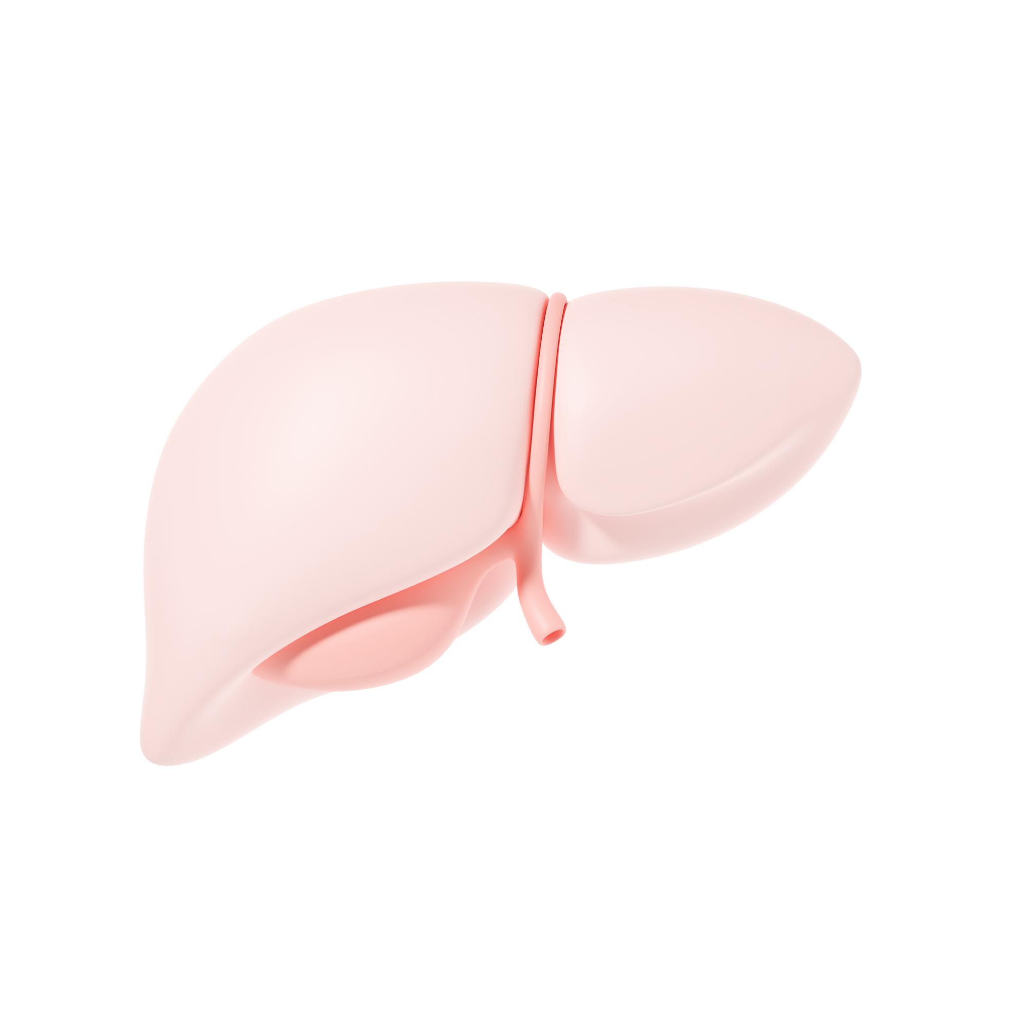 Le Foie, le Super-héros de la Cétose !