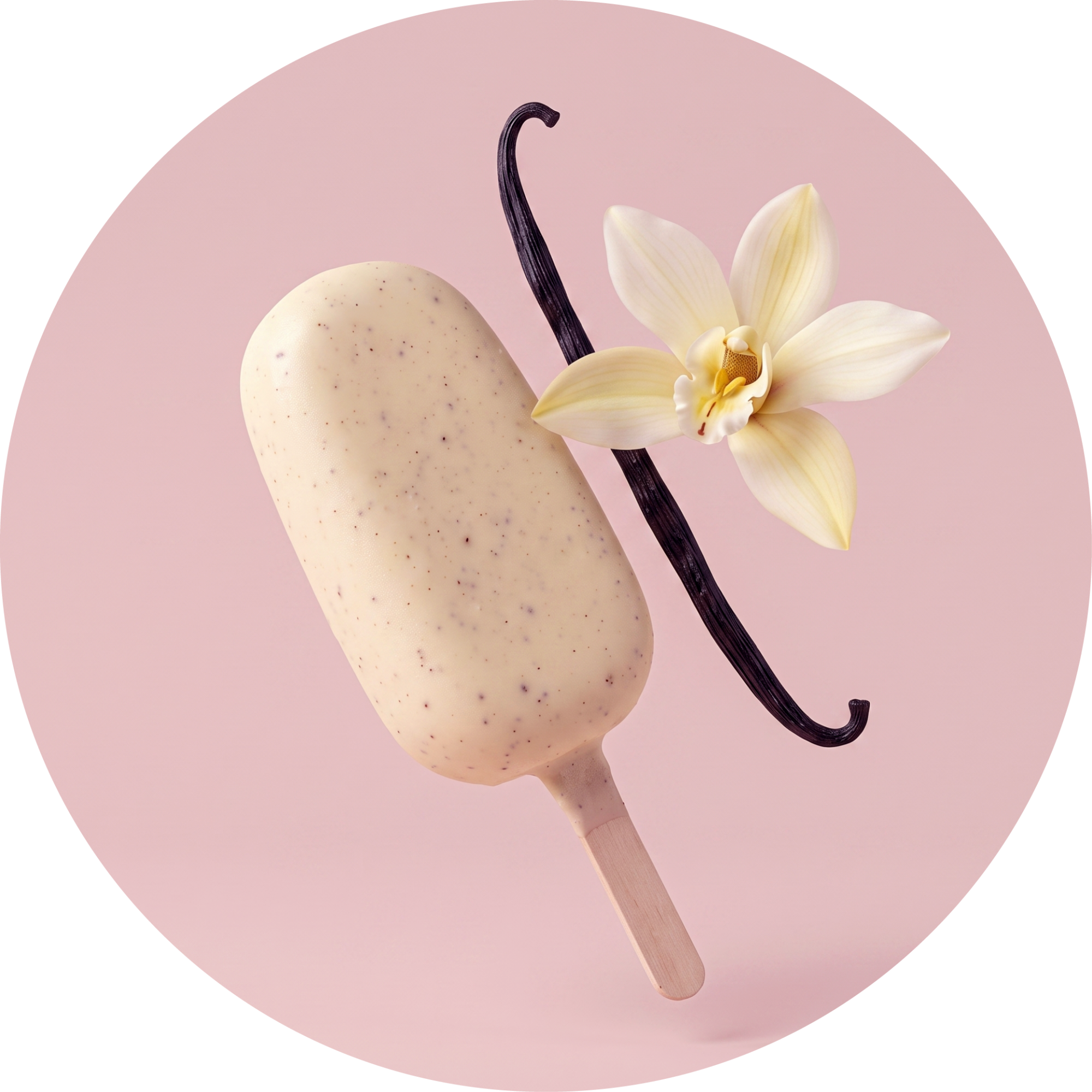 Glace Ariela® Vanille | Ariel®