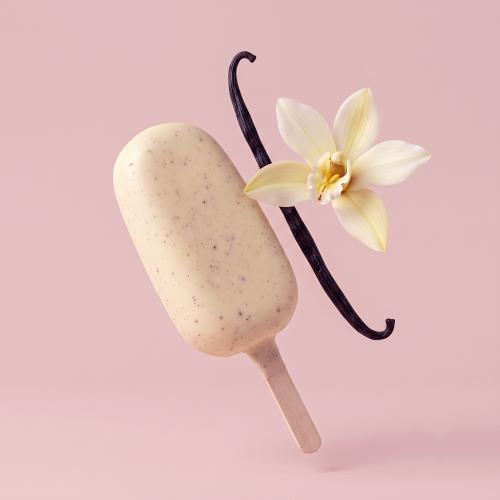 Glace Ariela® vanille